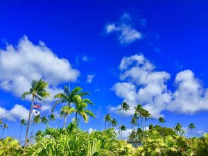 hawaii-2700191_640