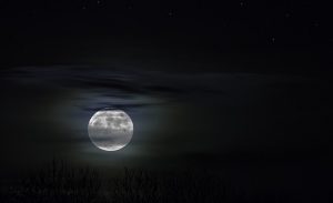 moonlight-1226253_640